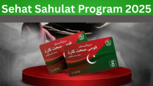 Read more about the article Sehat Sahulat Program 2025: Free Health Care Services for Families in Pakistan