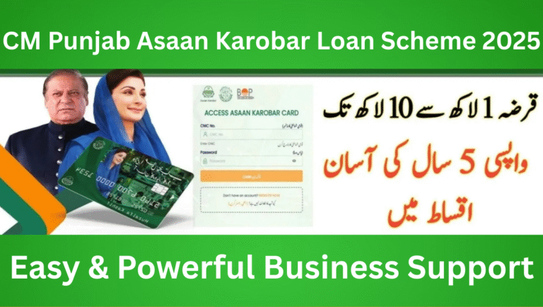 CM Punjab Asaan Karobar